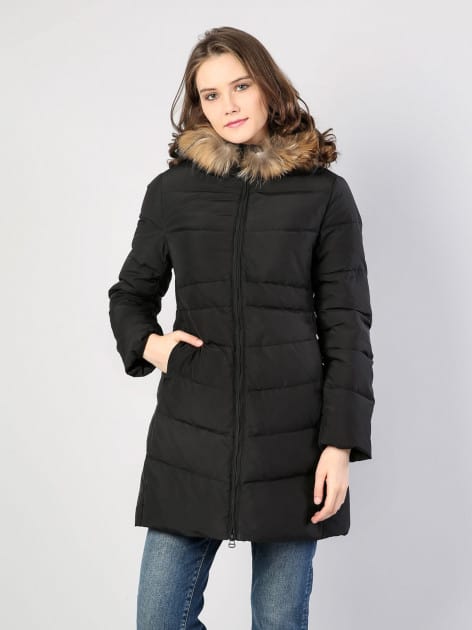 Down Jacket Colin's CL1036140